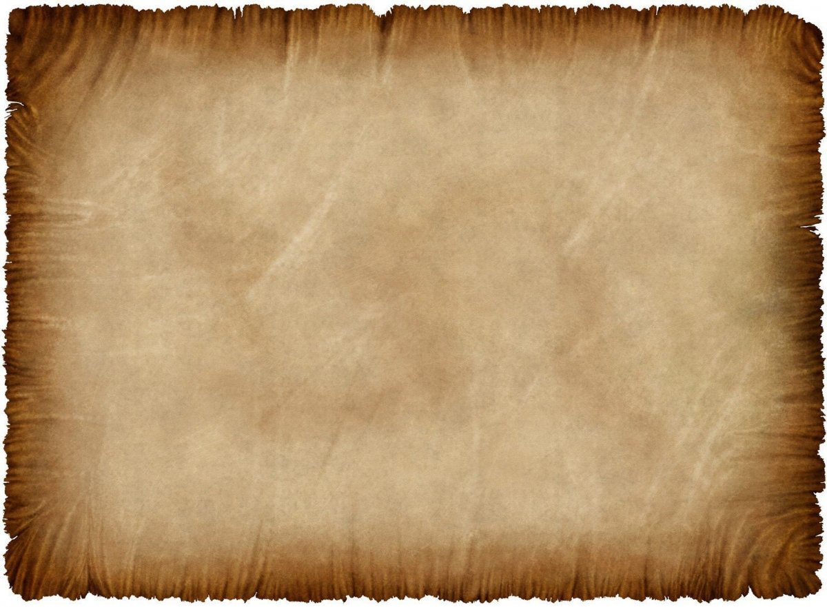 Папирус фото