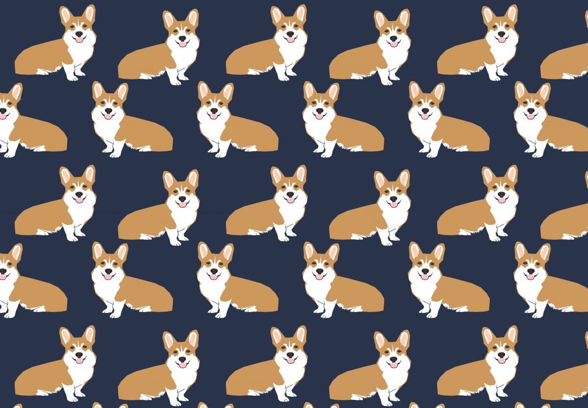 Корги паттерн
