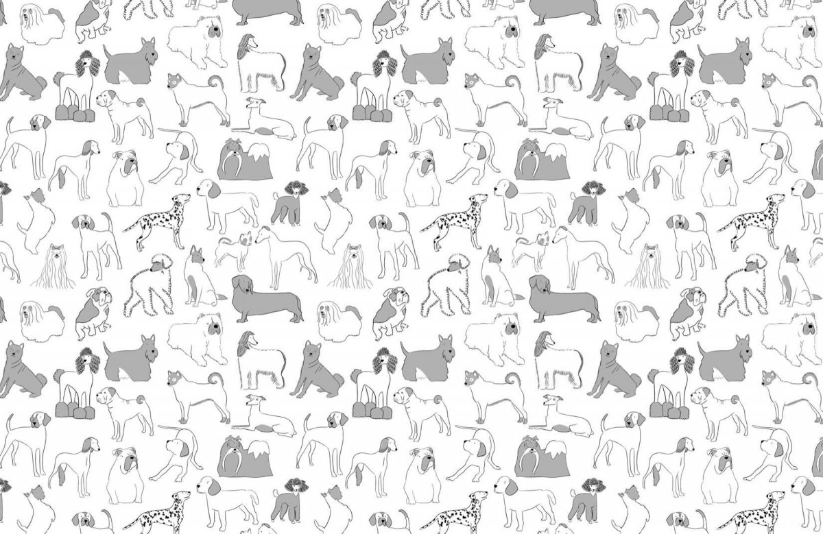 Милые обои с Джек Рассел терьером