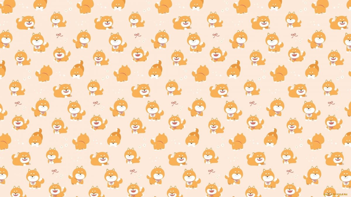 Корги на розовом фоне