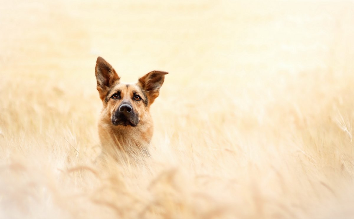 Милый Минимализм