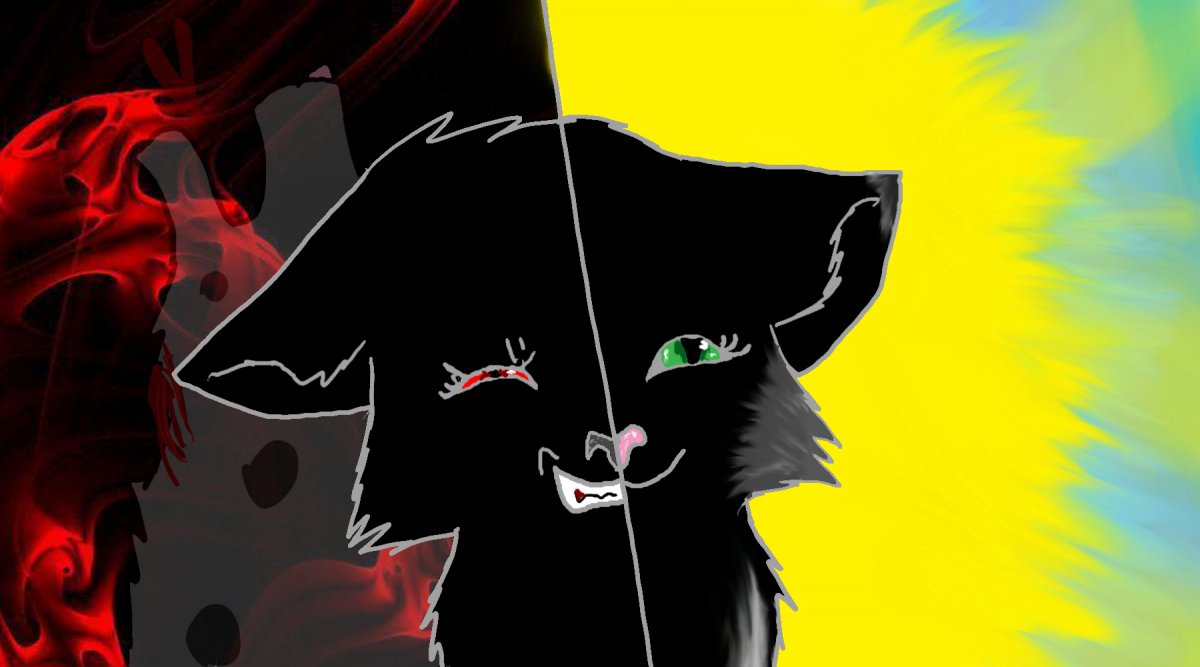 Бич кот воитель