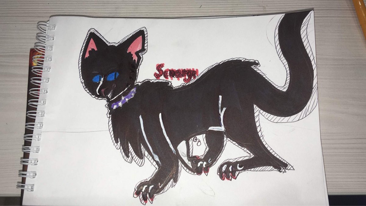 Коты Воители Бич и Звездоцап битва