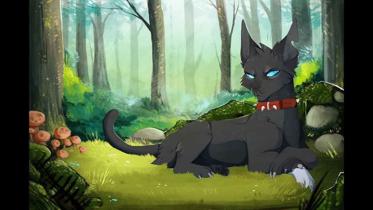 Коты Воители ужасные арты