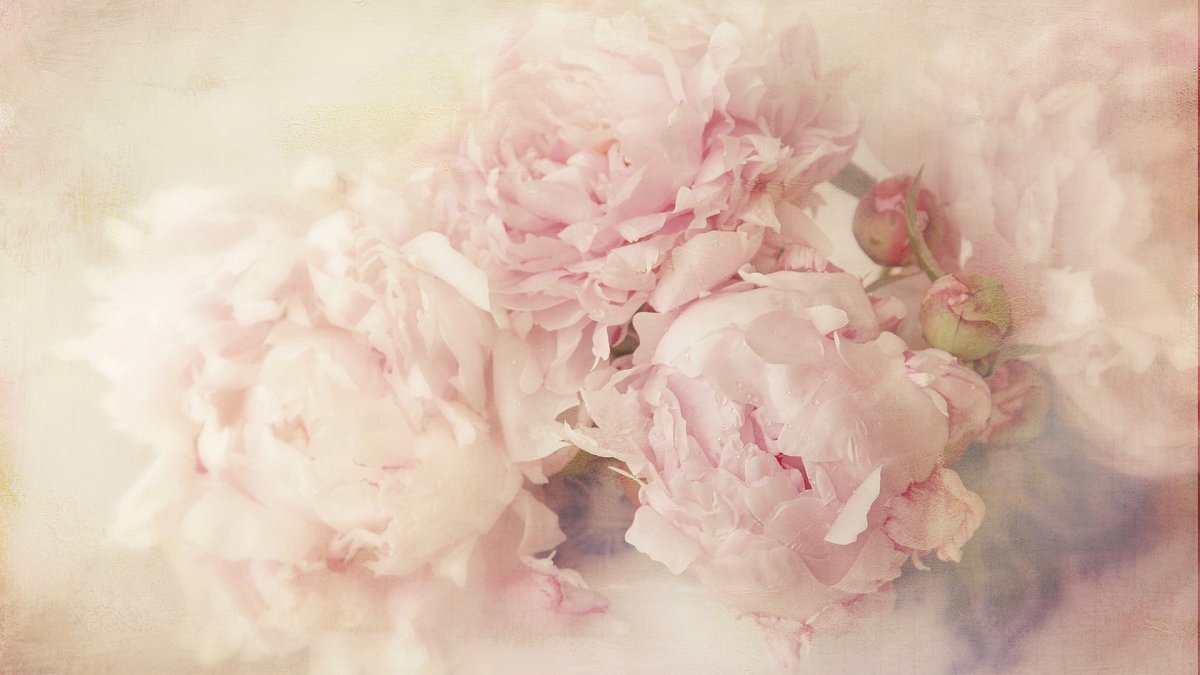 Нежно голубой