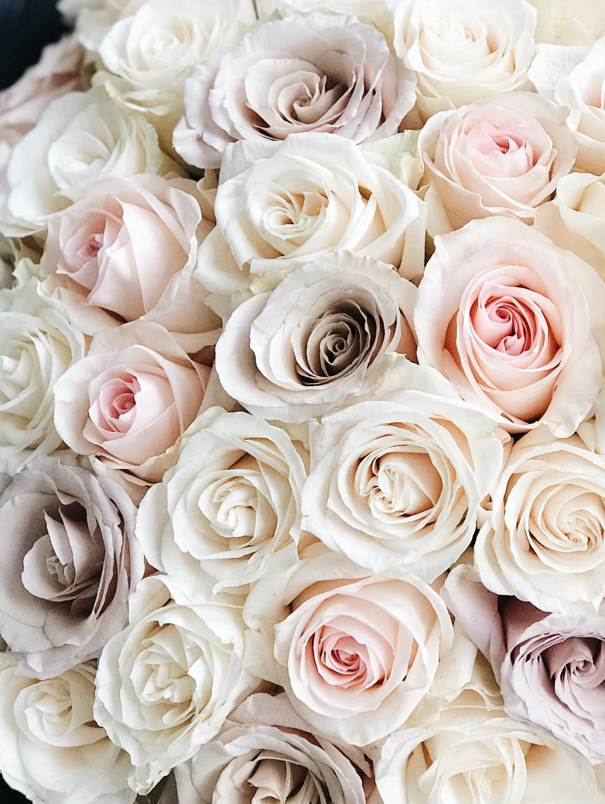 Нежный цветок