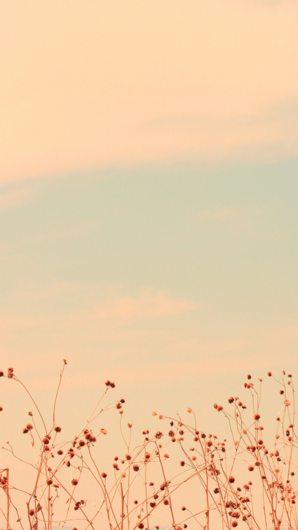 Красивые пастельные тона