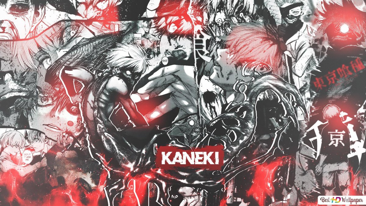 Обои канеки манга