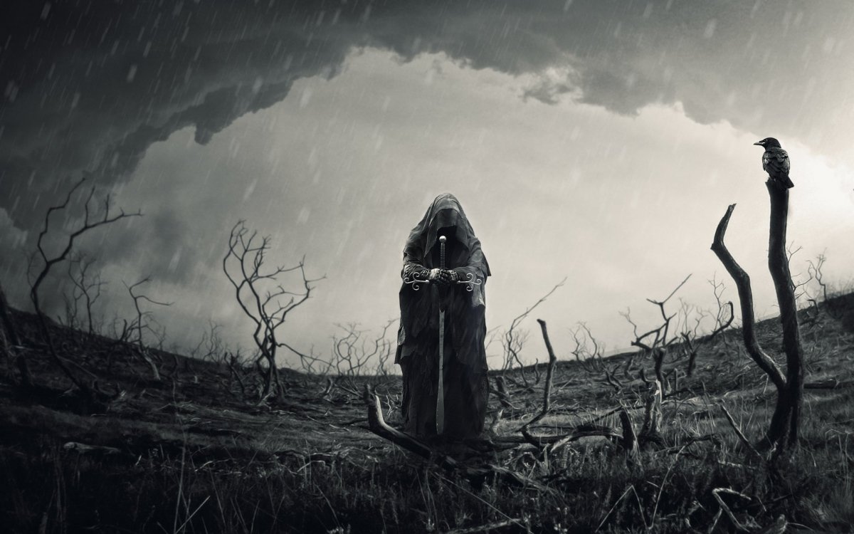 Одинокий воин