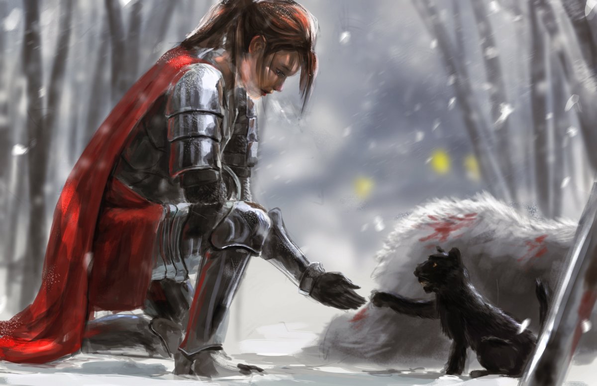 Одинокий воин