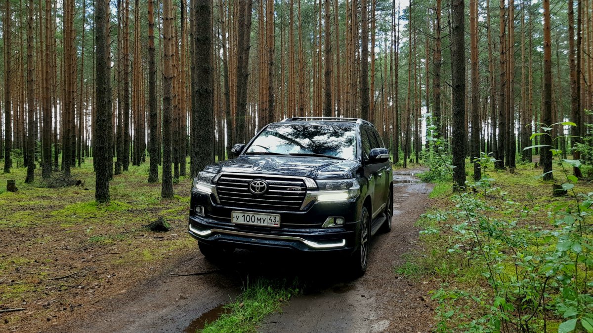 Паша Пэл Кавказ