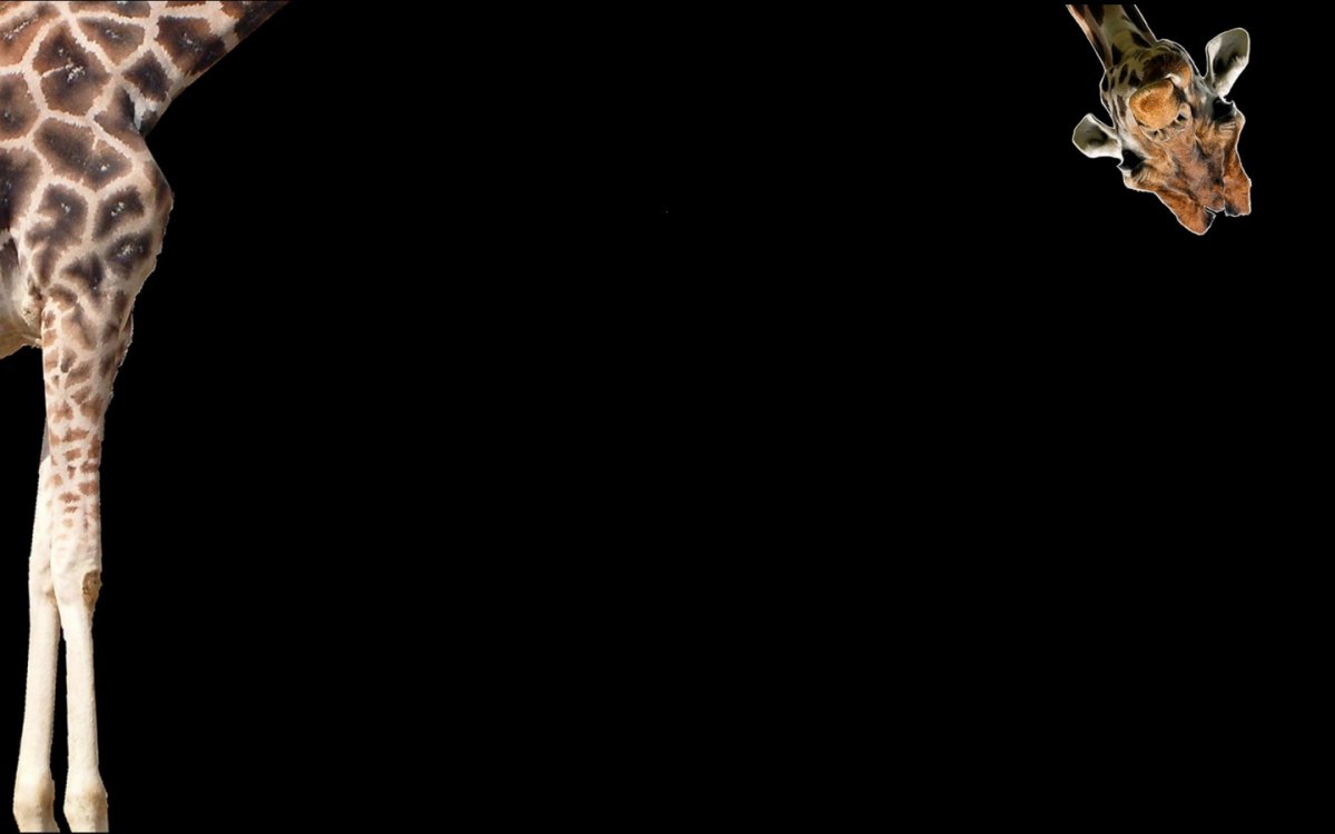 Заставка на два монитора 3840 1080