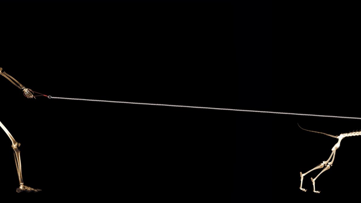 Обои на рабочий стол на 2 монитора