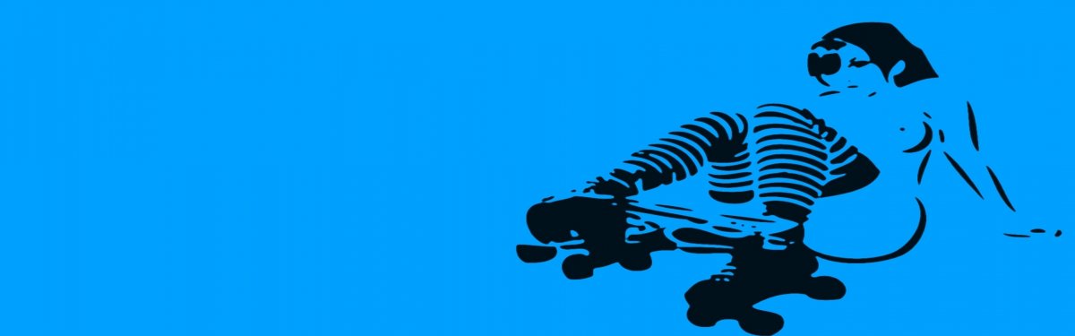 Обои на 2 монитора прикольные