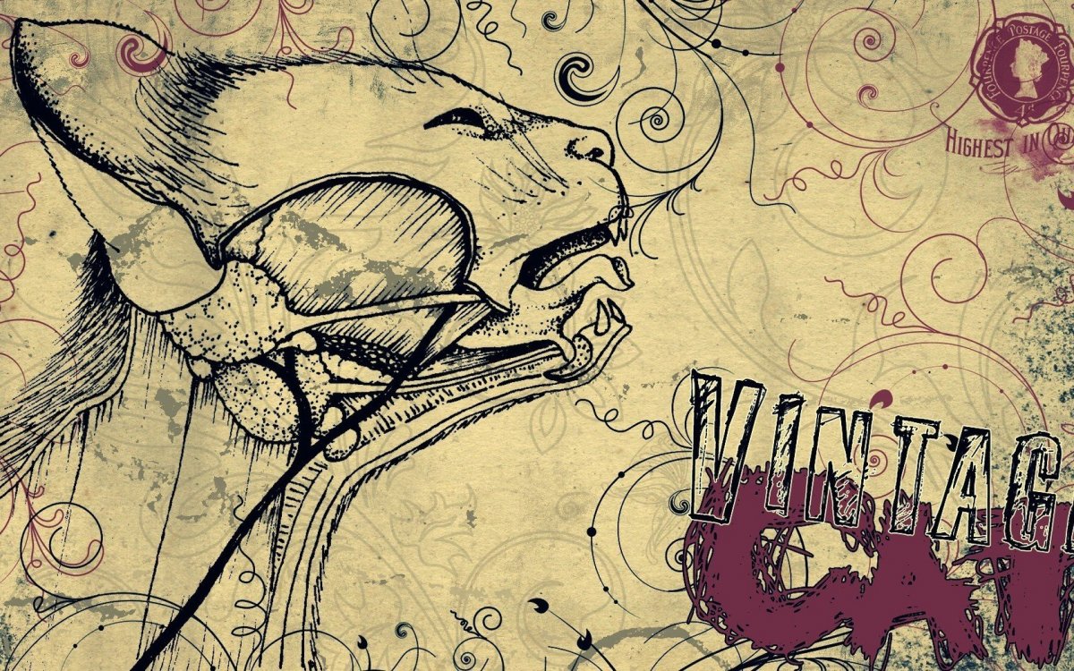 Абстрактные рисунки