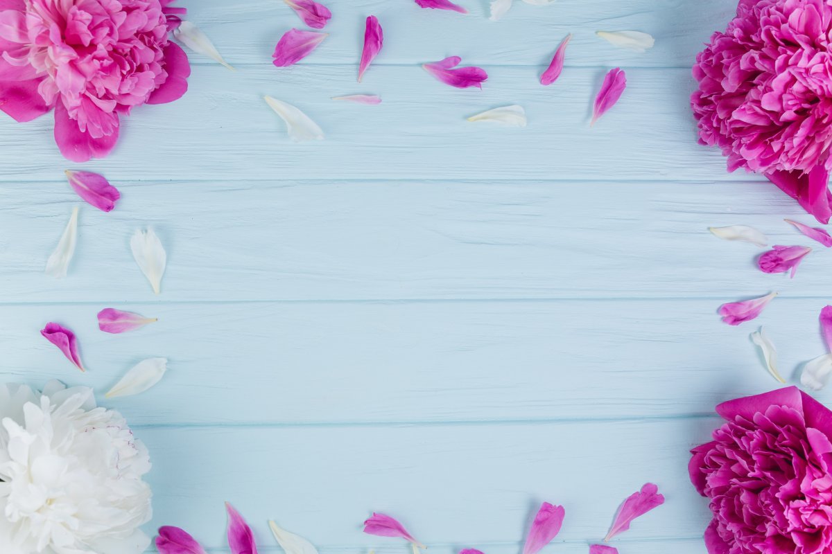 Фотофон с орхидеями