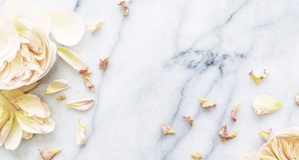 Рамка растения