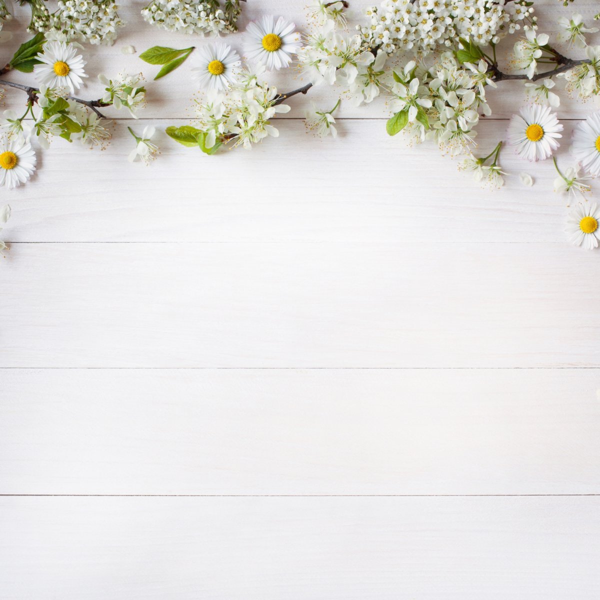 Красивый фон для текста