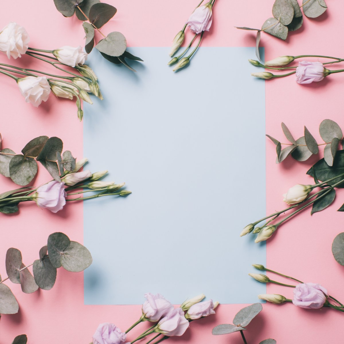 Цветы Минимализм