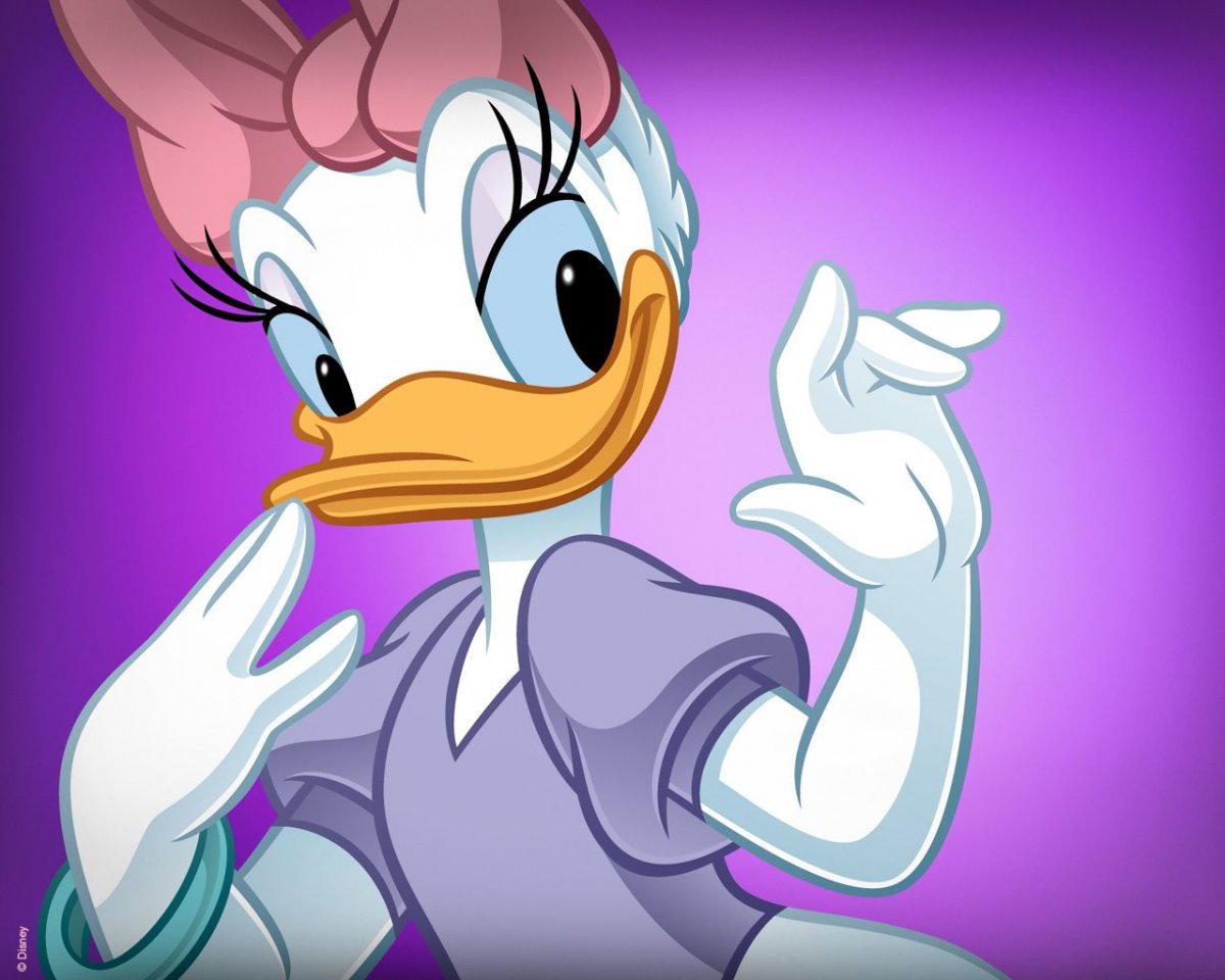 Дональд дак и Дейзи свадьба