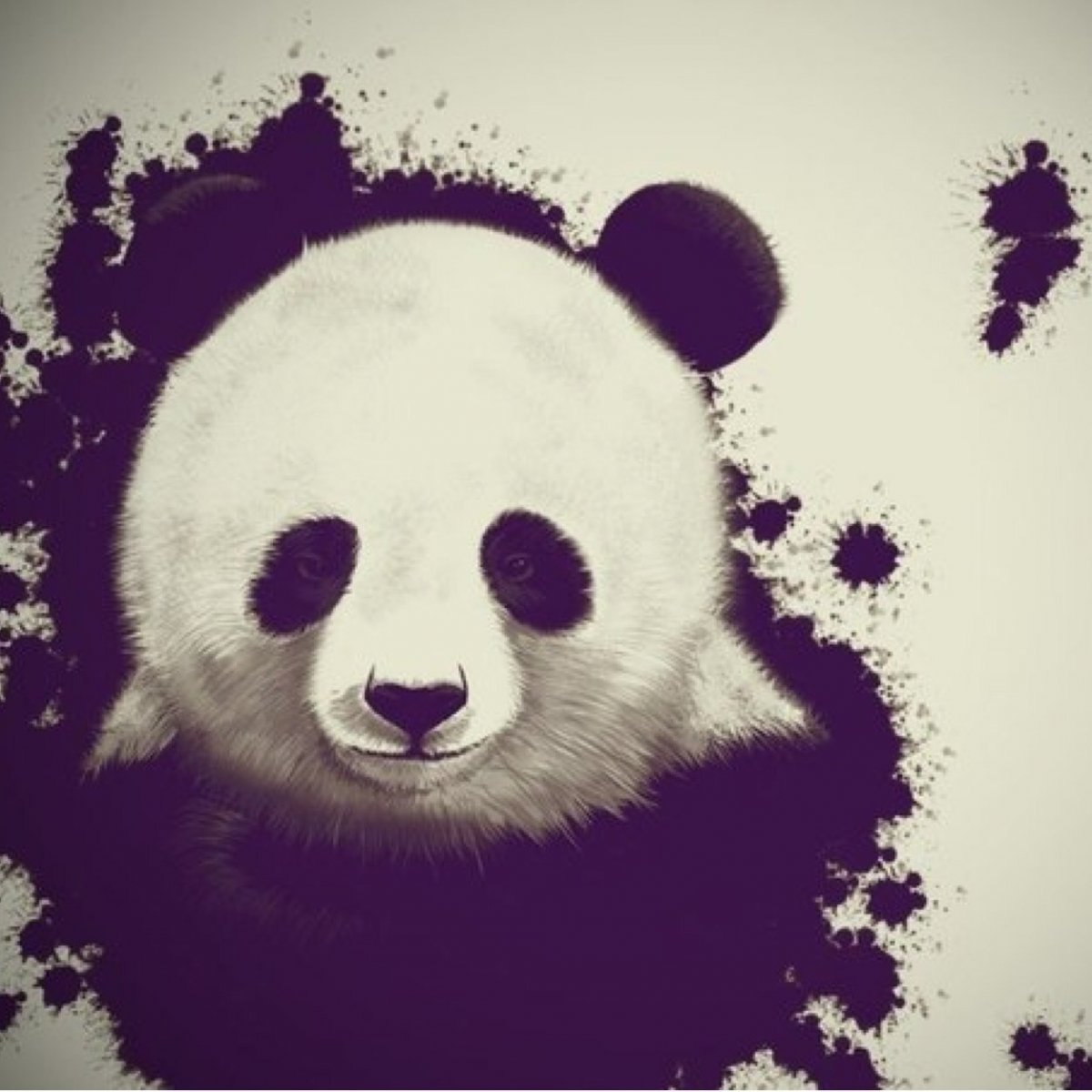 Дерзкая Панда