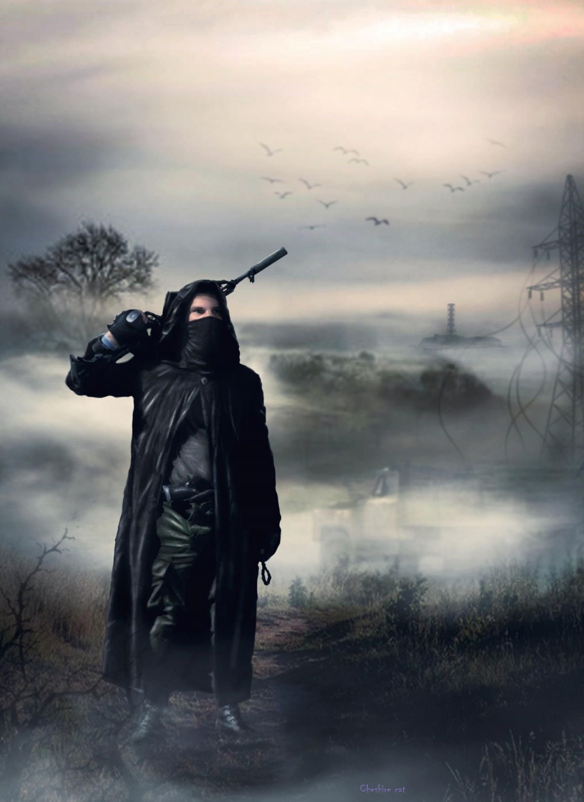 Сталкер арт с глушителем