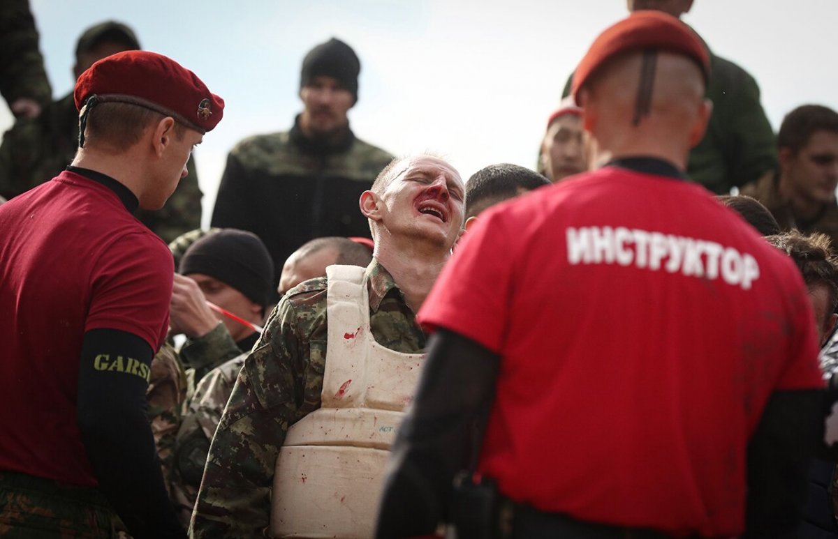 Краповый берет 2021 Витязь