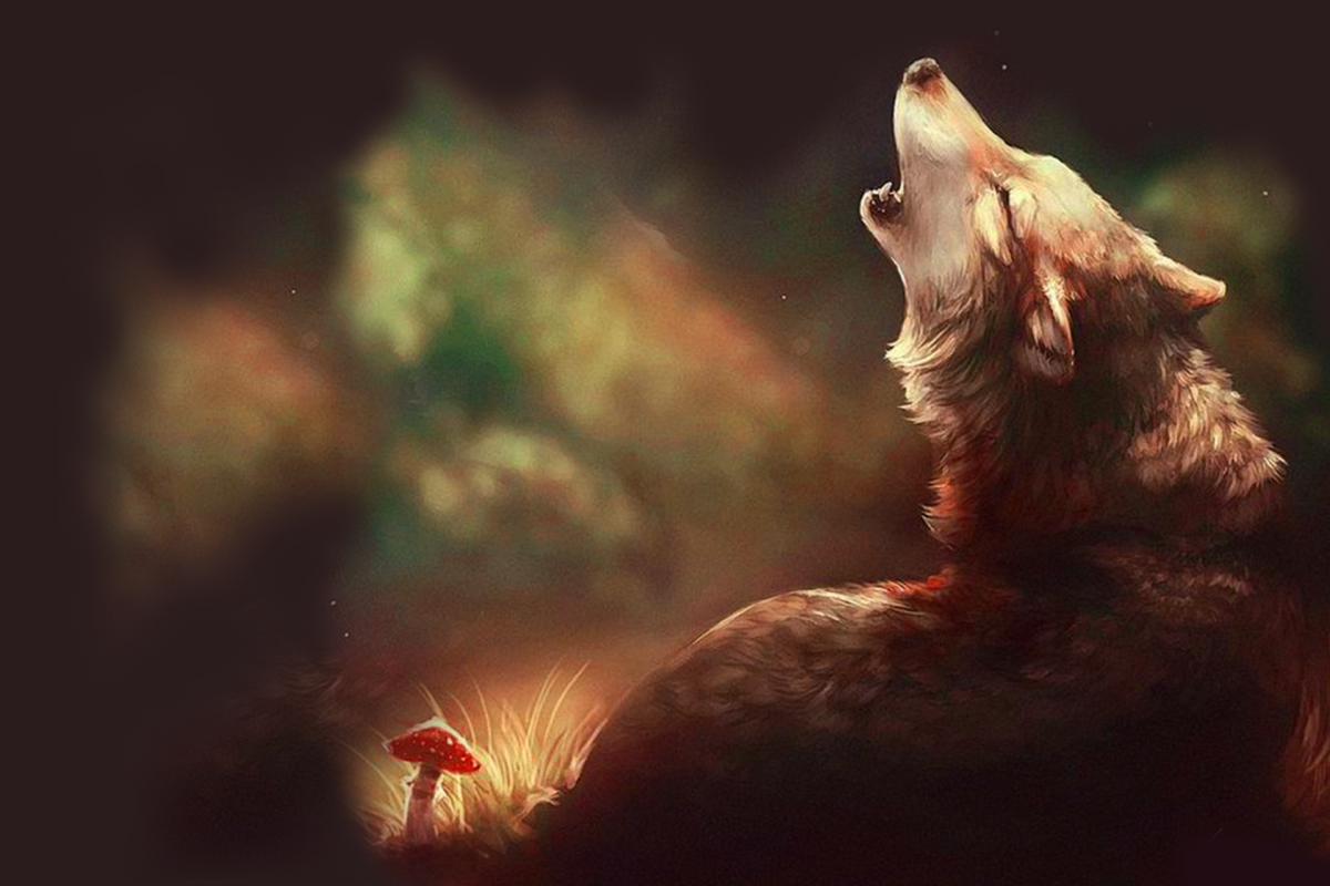 Волк в профиль арт