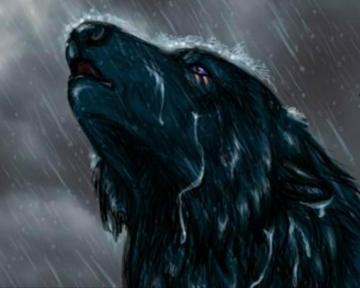 Арт голова волка