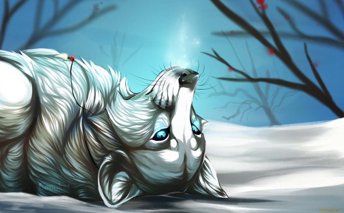 Волк с окровавленной мордой