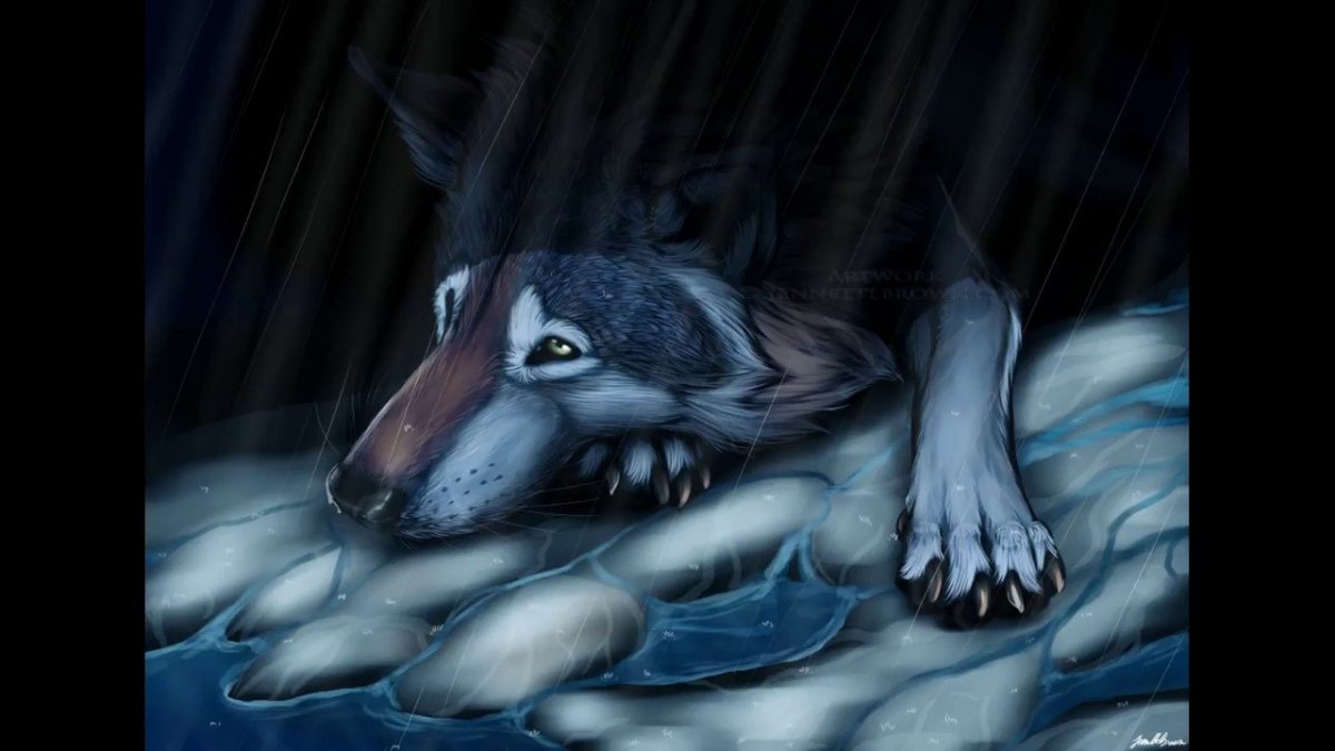 Волк плачет