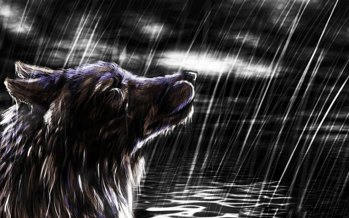 Воспитанные волками аниме