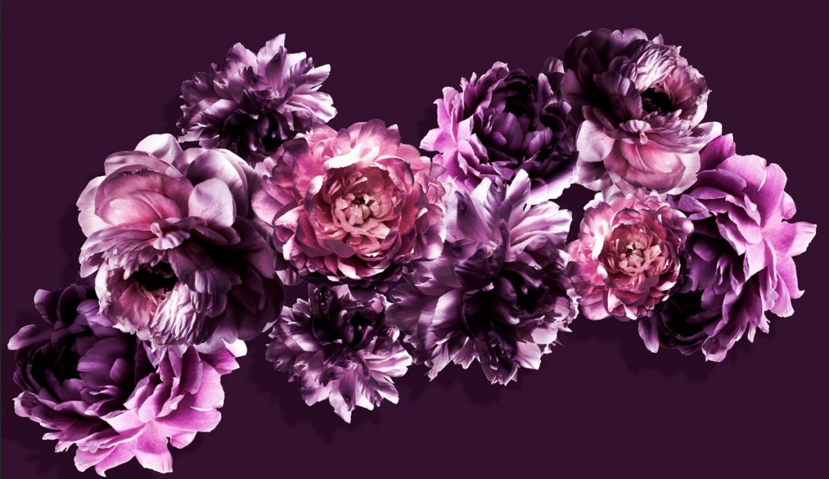 Бордовая роза с цветком пиона