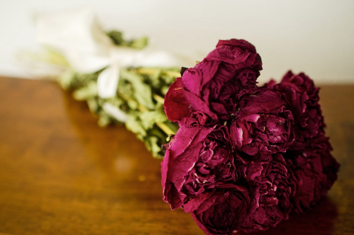 Пионы бордовые и розовые