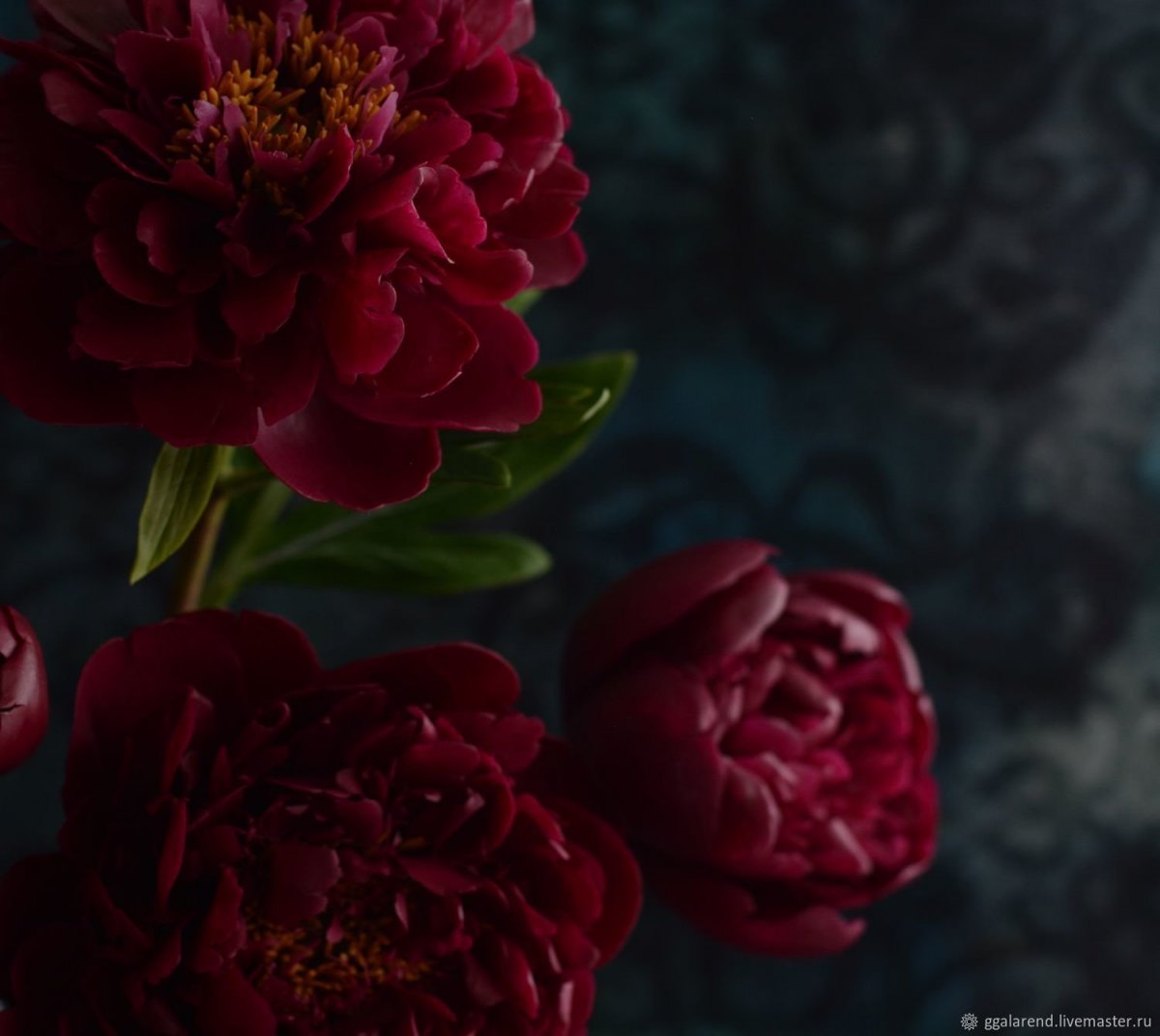 Пионы марсала