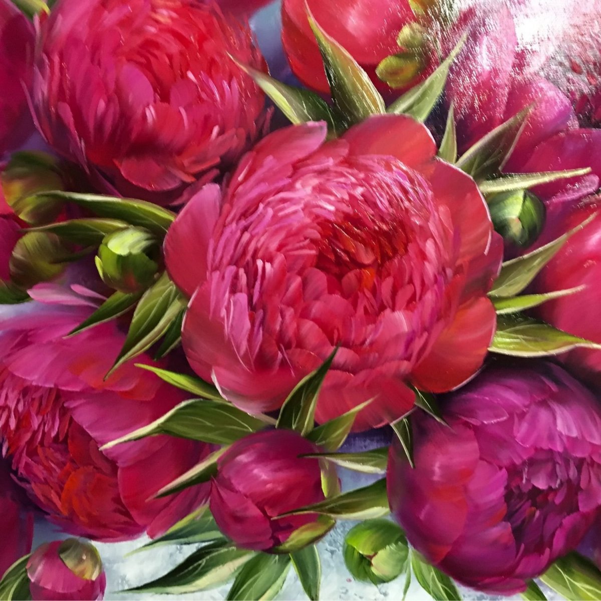 Пионовидная роза бордовая