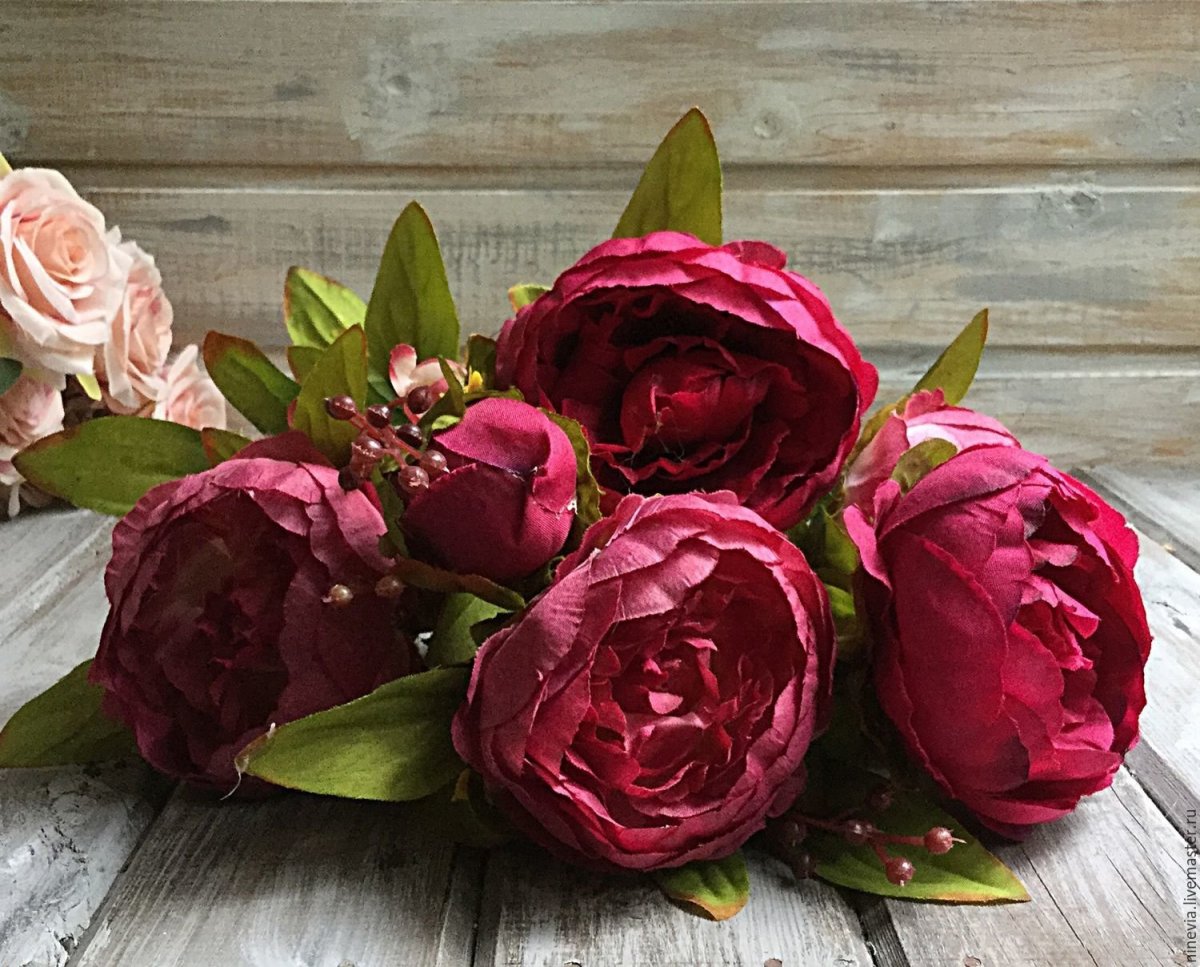 Красные пионы вид сверху