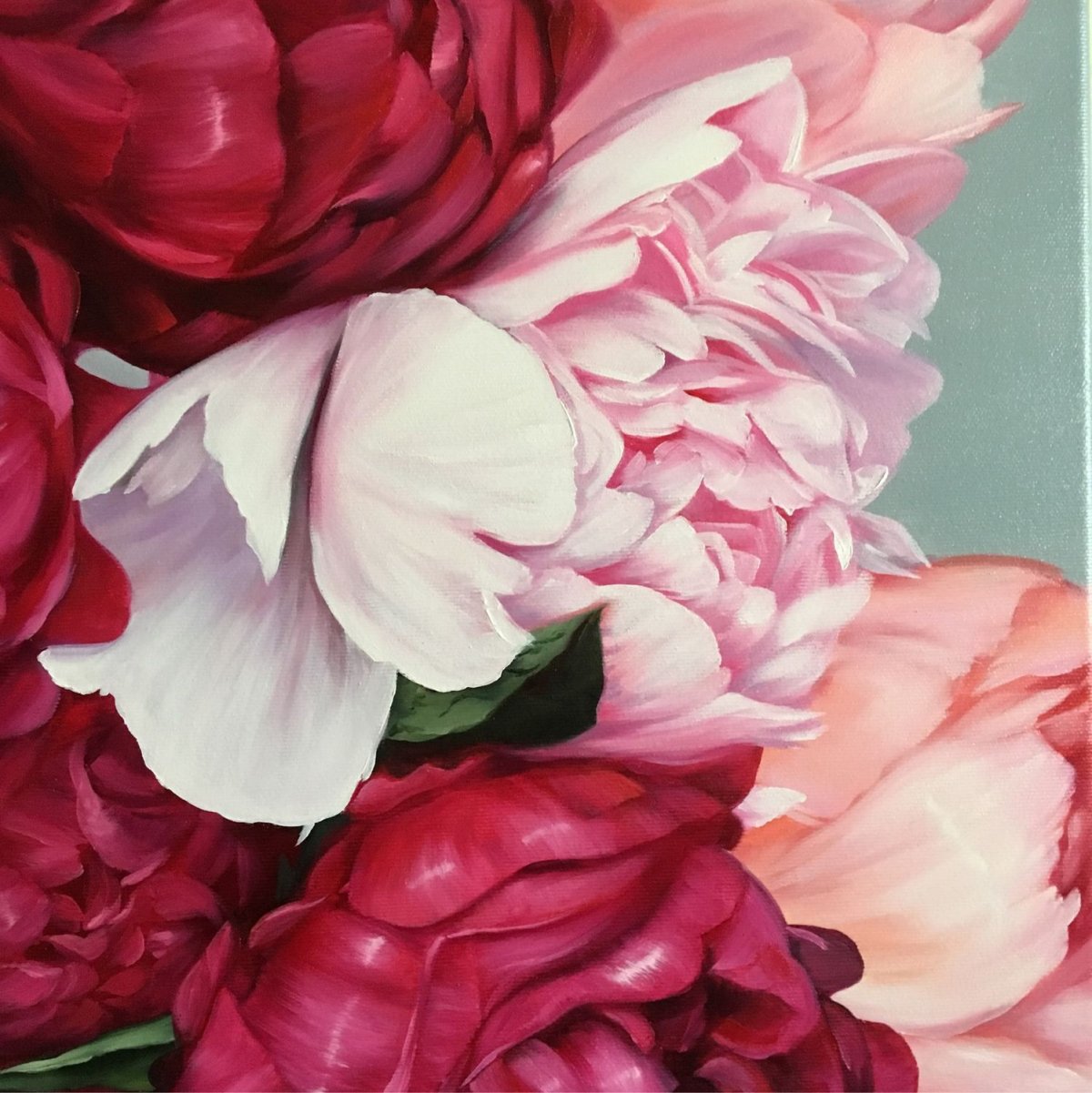 Пионовидные розы ред пиано