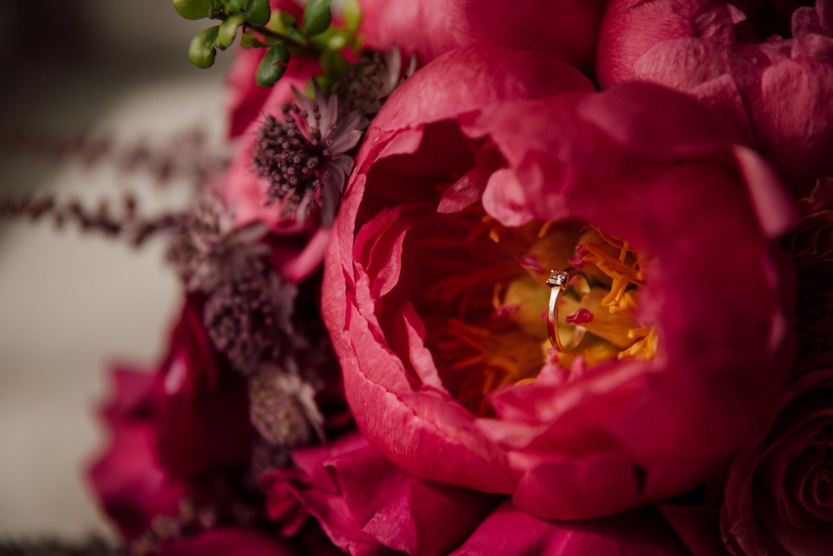 Бордовая роза на черном фоне