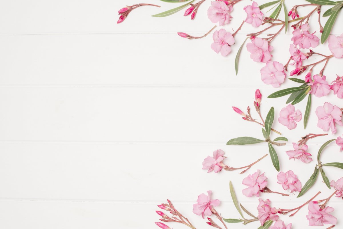 Цветочная рамка