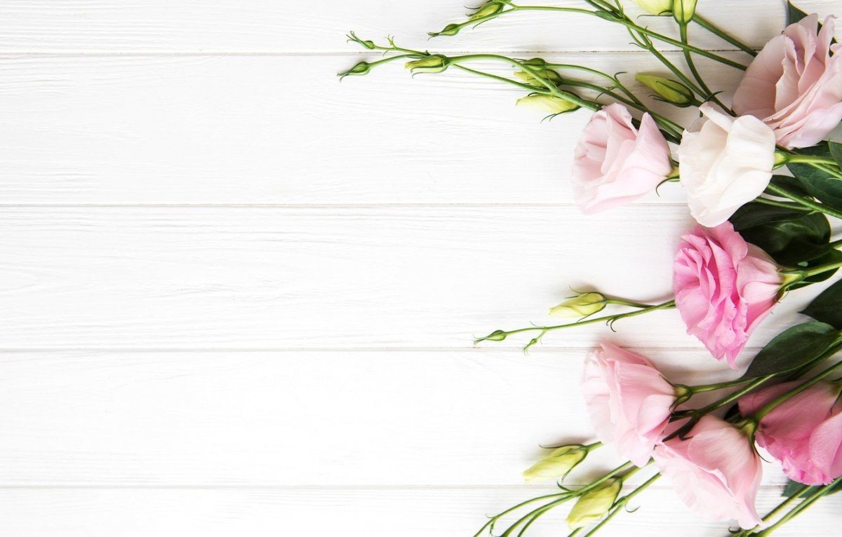 Фон студия цветы