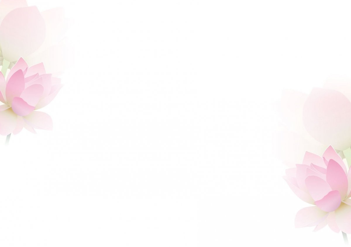 Однотонный фон с цветами