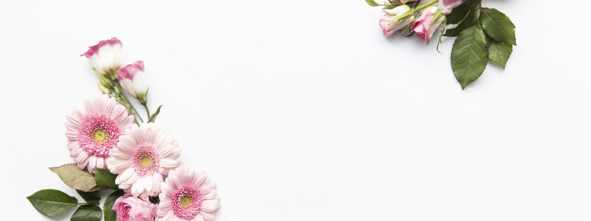 Фон светлый с цветами по бокам