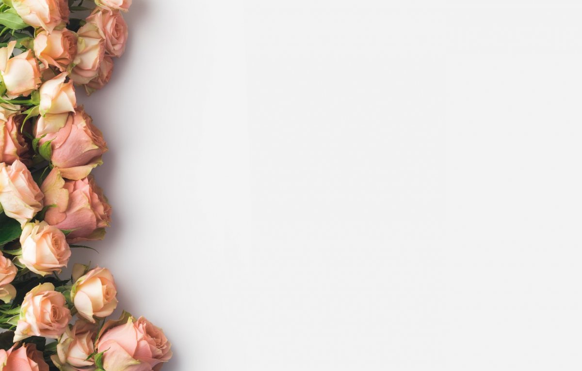 Цветочная рамка на белом фоне