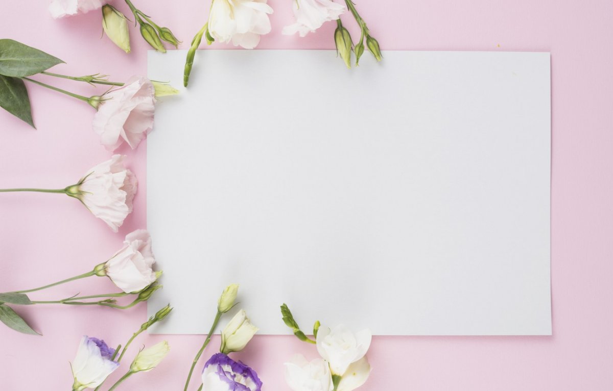 Цветы на белом фоне