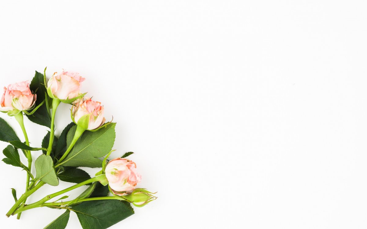 Векторные цветочные рамки