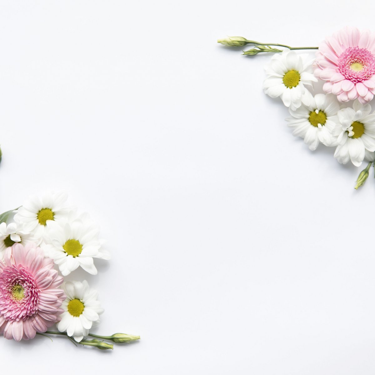 Цветы сбоку