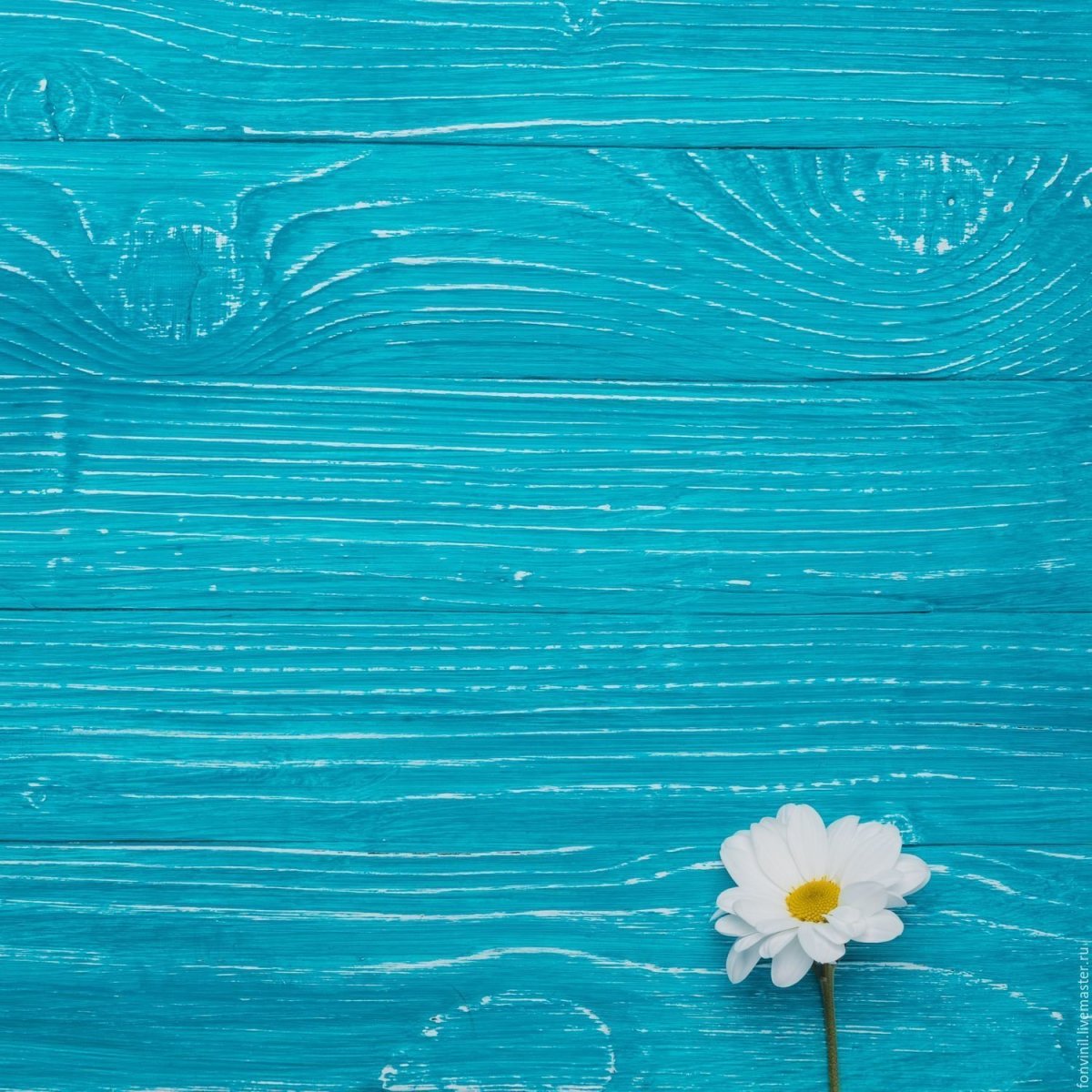 Фон пастельные тона