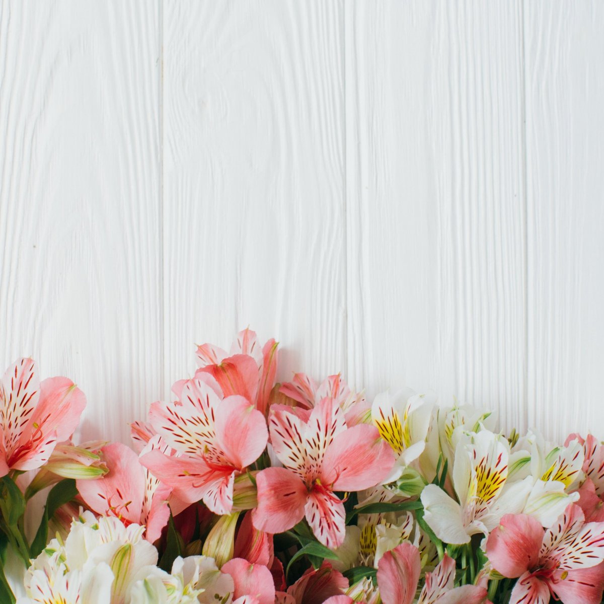 Свадебный фон