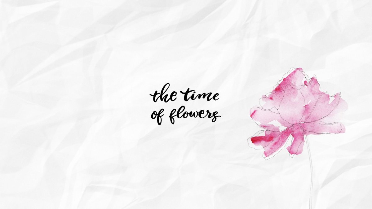 Розовые цветы